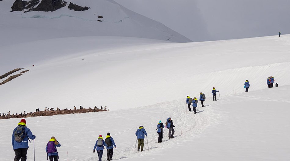 shore-excursions-antarctica9