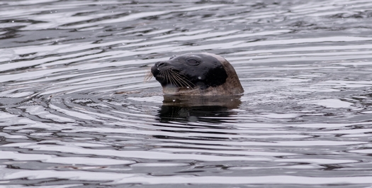 Nunatsiavut Community