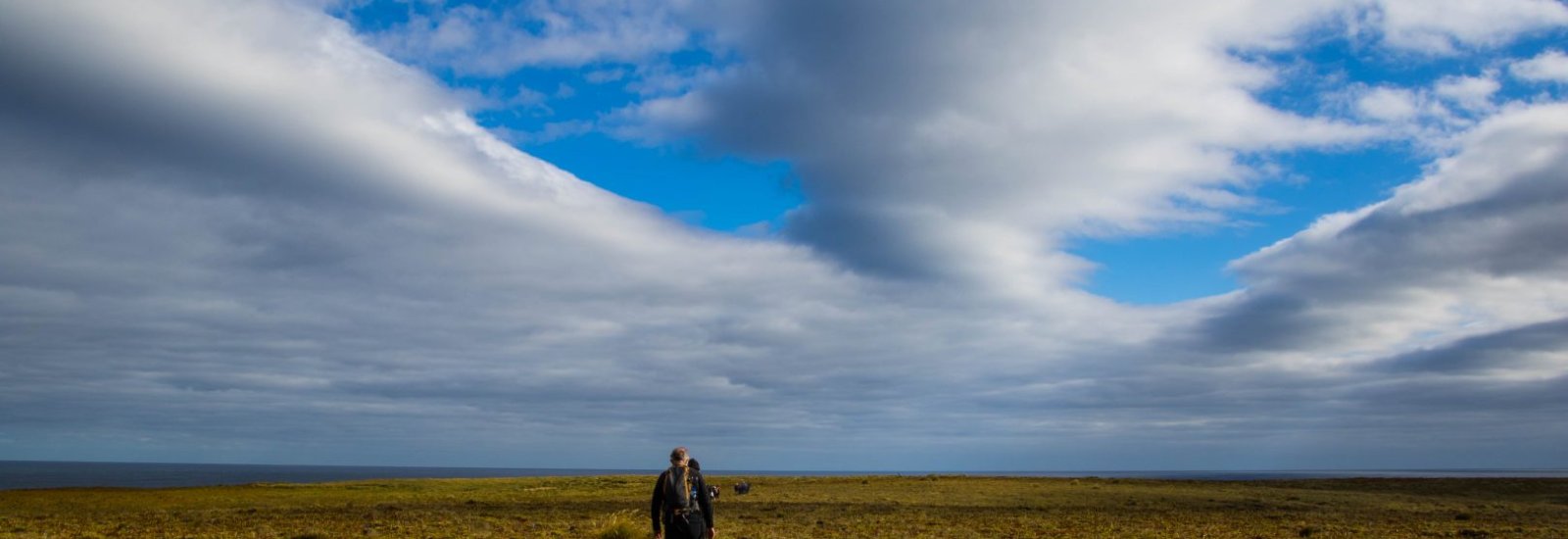 Auckland-Islands-1620x1080
