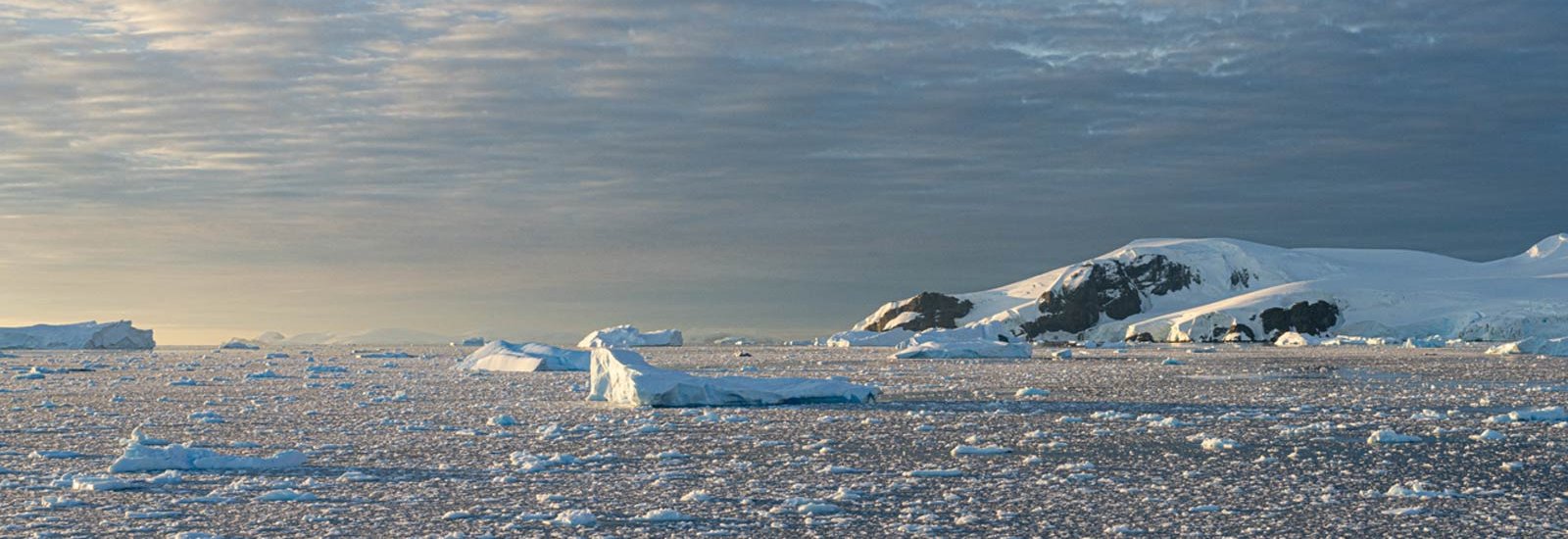 Quest For The Circle | Ocean Albatros