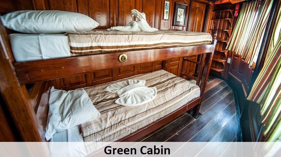 Tucano-twin-cabin-green_0