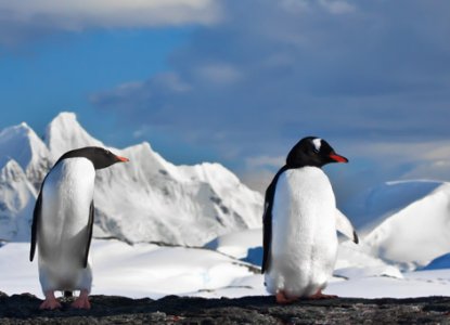  classic%20antarctica11_0 