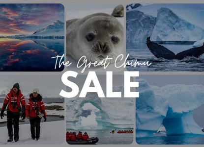  The Great Chimu Sale 