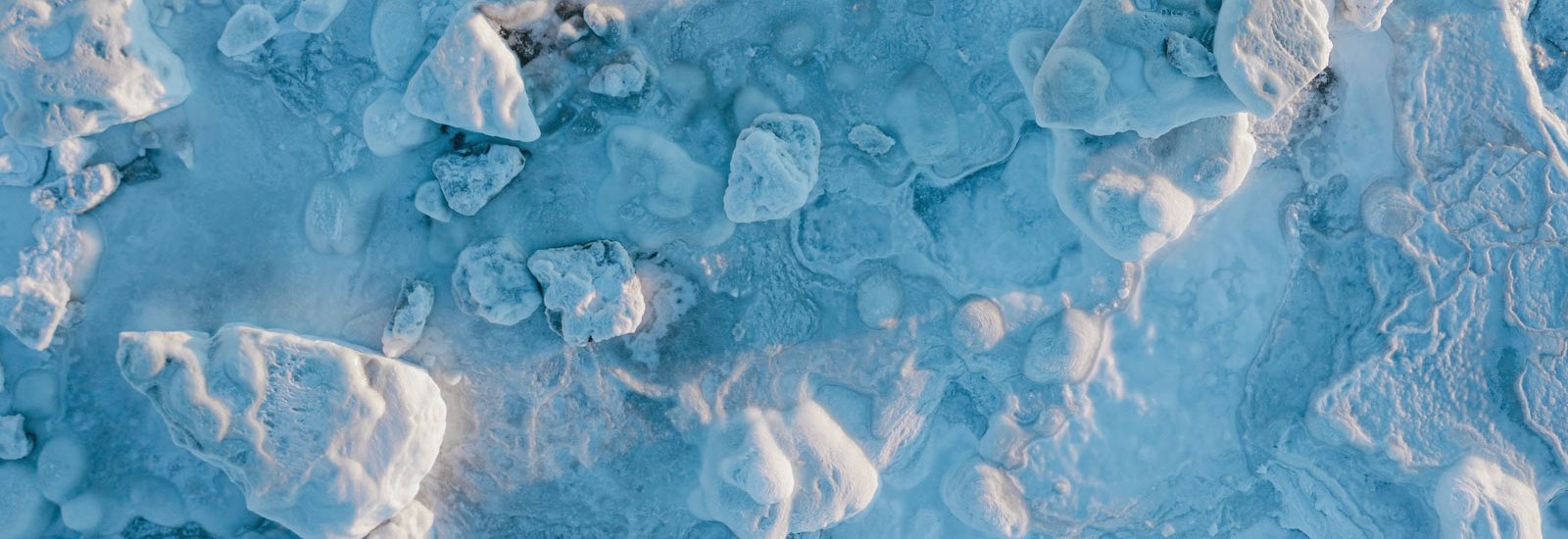 Jewels of the Arctic 2027: Southbound | Sylvia Earle