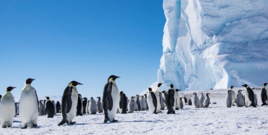 Weddell Sea Exploration: Days 7 & 8