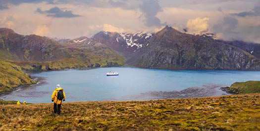 South Georgia - Day 12 to 15