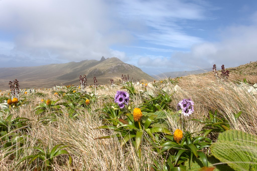 (c)_sblanc_galapagos_of_the_southern_ocean_23_(custom) 
