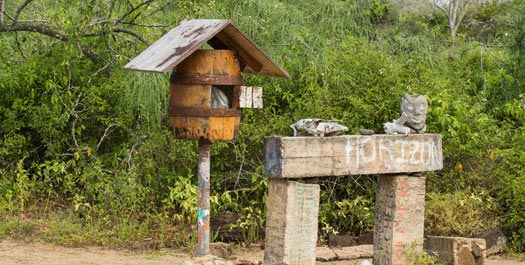 Post Office Bay and Cormorant Point