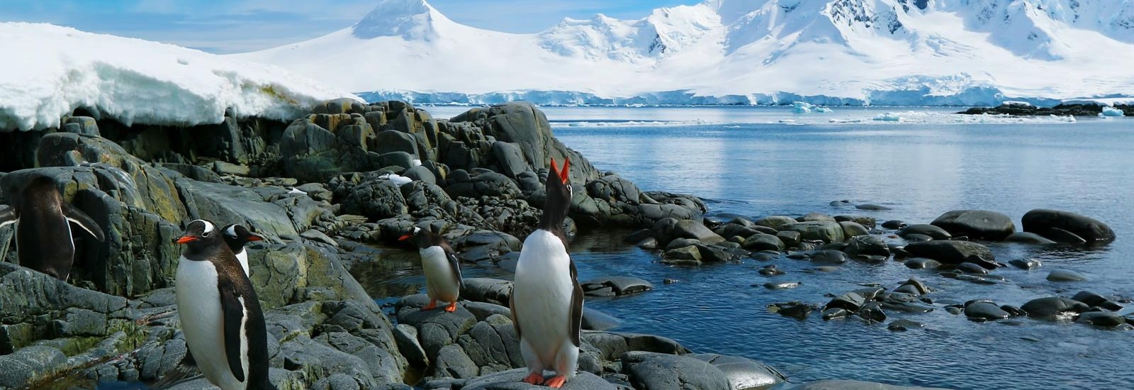 Across the Antarctic Circle: Fly the Drake | Sylvia Earle