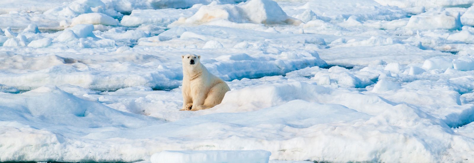 Baffin Island &amp; Greenland | Ocean Nova