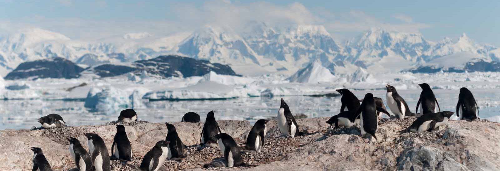 Discovering the 7th Continent | Ultramarine