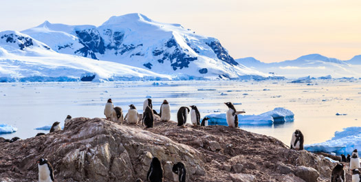 Antarctic Peninsula - Day 3 to 8