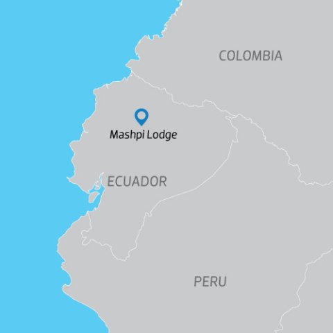 mashpi%20colibri%20pan