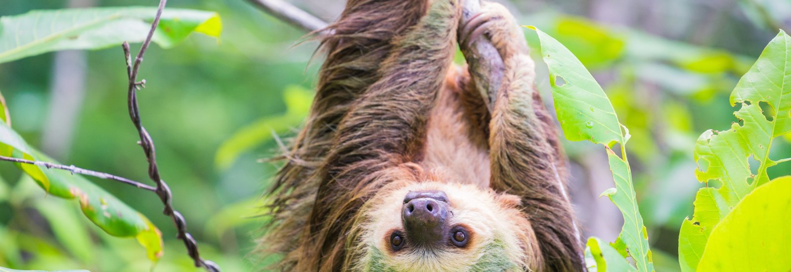 shutterstock_637495183