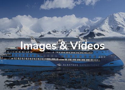  MDB_Albatros_900x550_0 