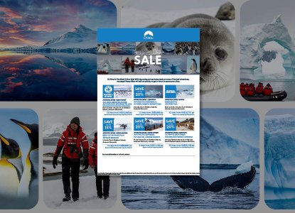  The Great Chimu Sale 