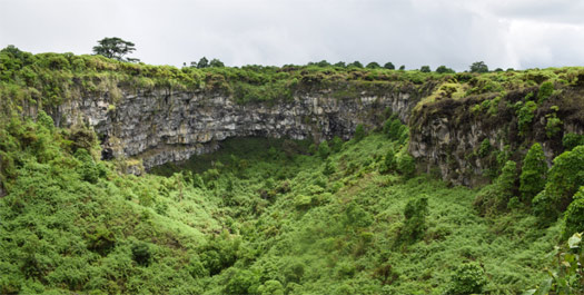 Twin craters and Breeding center
