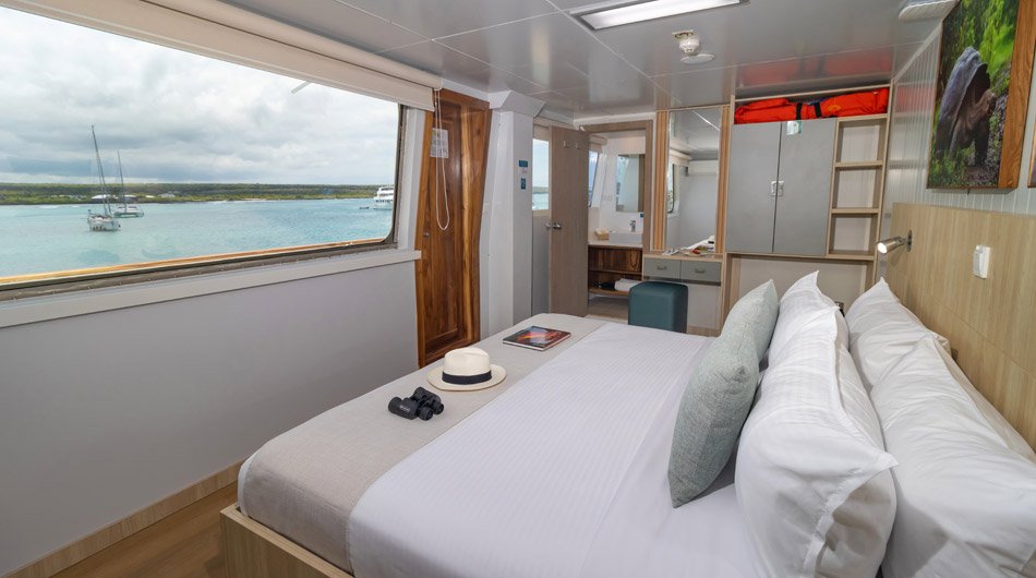 Galapagos Angel Galapagos Cruise - Suite 
